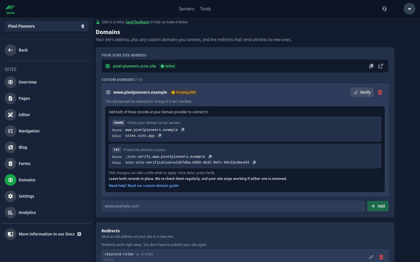 The Domains page with a custom domain waiting for its CNAME and TXT records