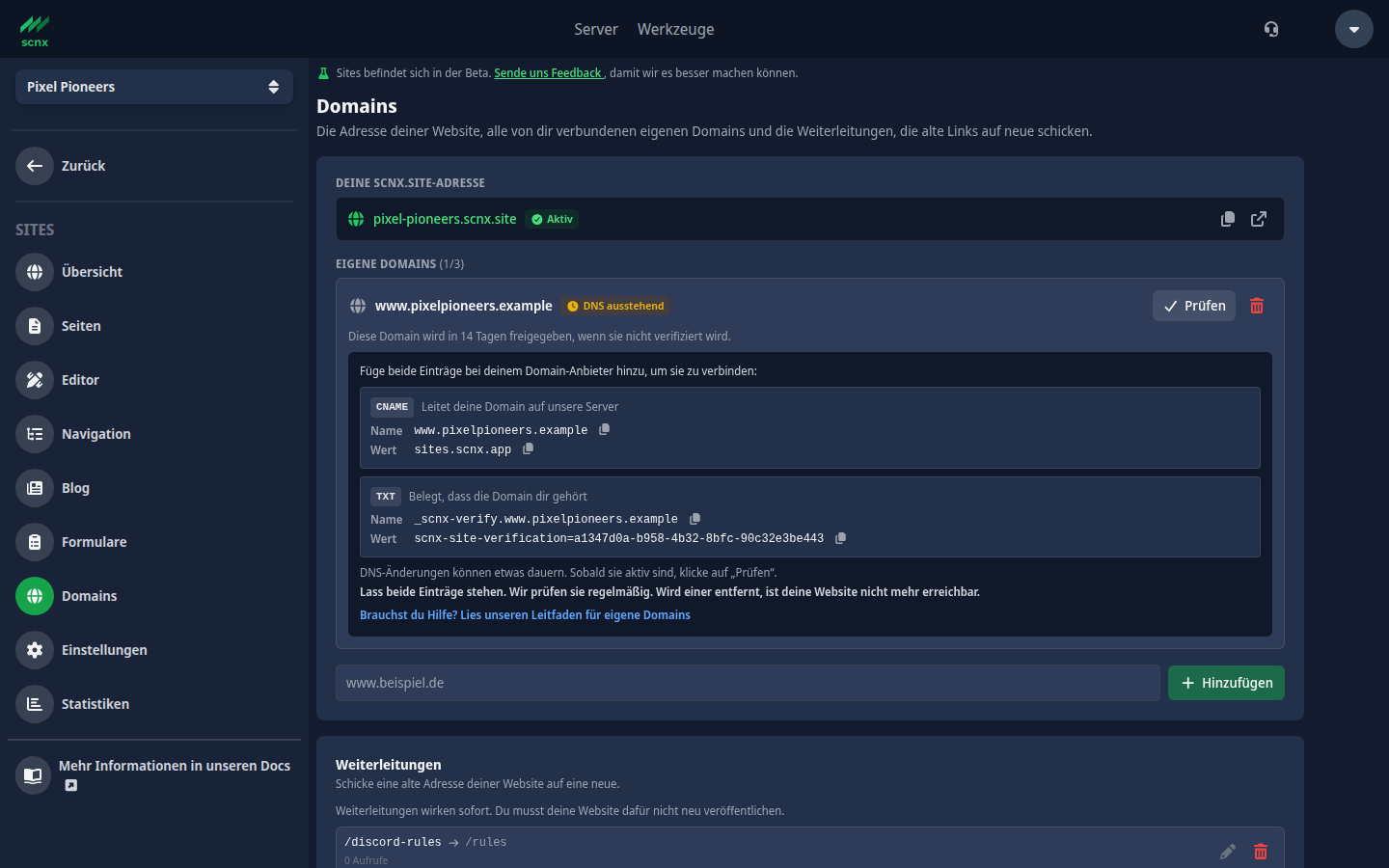 Die Seite Domains mit einer eigenen Domain, die auf ihre CNAME- und TXT-Einträge wartet